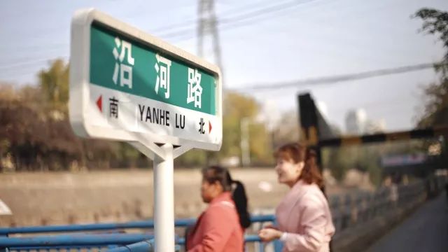 郑州北闸口：有花鸟鱼宠古玩旧物及郑州人的故事