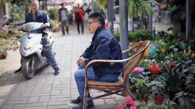 郑州北闸口：有花鸟鱼宠古玩旧物及郑州人的故事